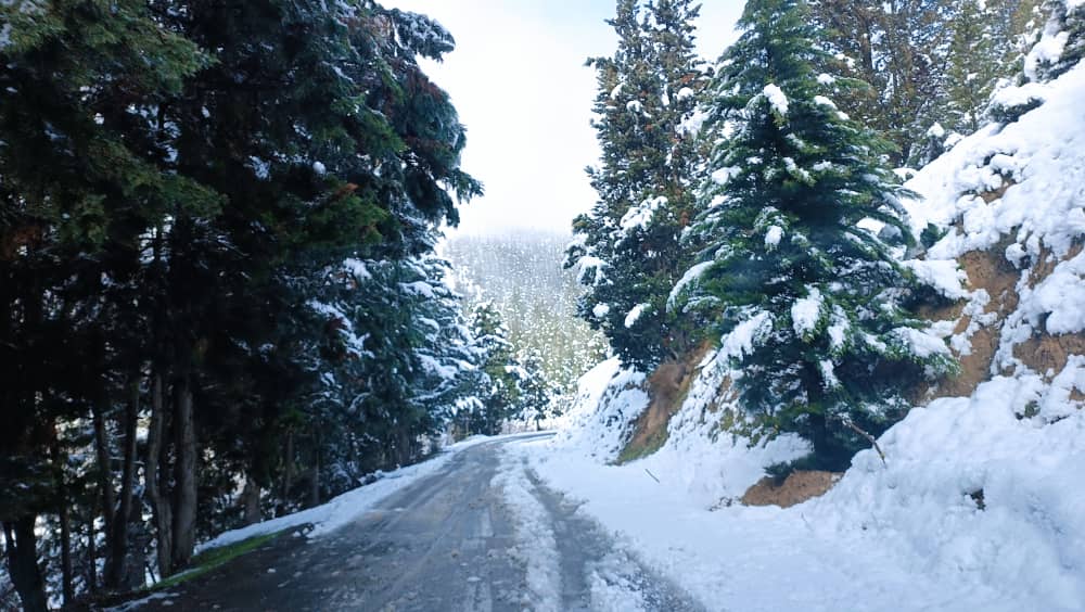 خرید و فروش زمین