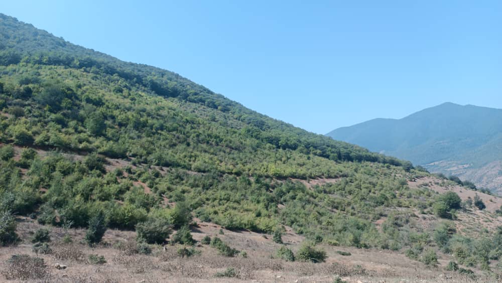 خرید و فروش زمین