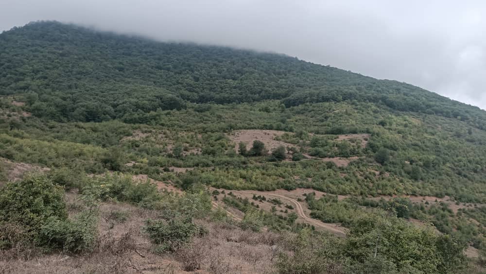 خرید و فروش زمین